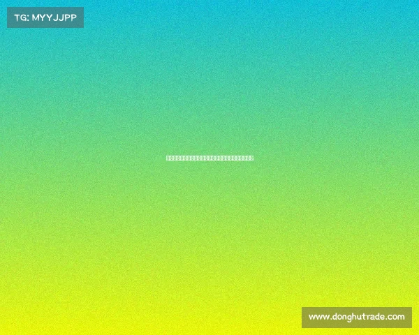 逆境中逆转晋级的传奇故事，见证决胜时刻的激情与坚持